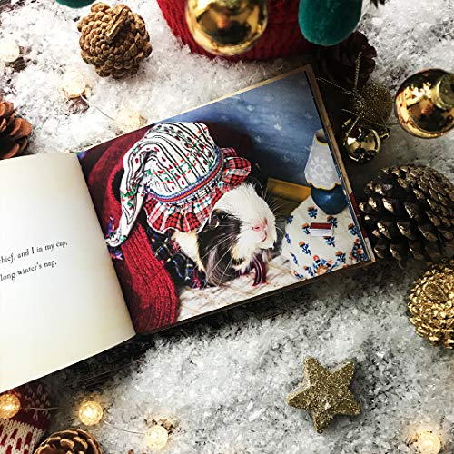 Tess Newall - A Guinea Pig Night Before Christmas - Hardback image 2