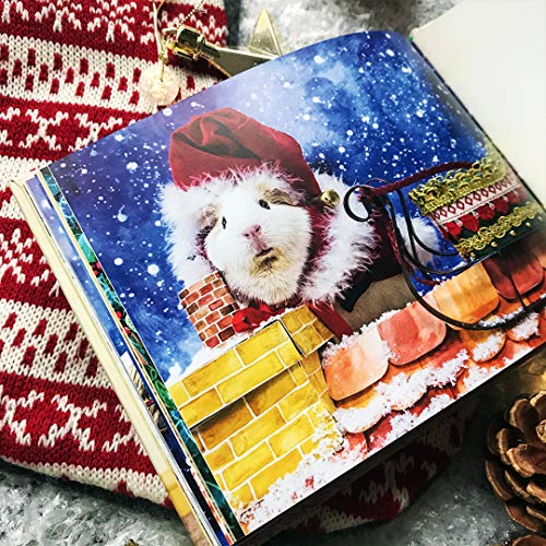 Tess Newall - A Guinea Pig Night Before Christmas - Hardback image 5