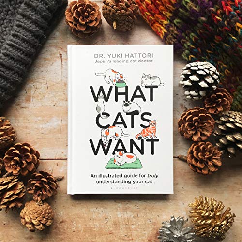 Yuki Hattori - What Cats Want : An Illustrated Guide for Truly Underst image 2
