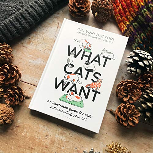 Yuki Hattori - What Cats Want : An Illustrated Guide for Truly Underst image 3