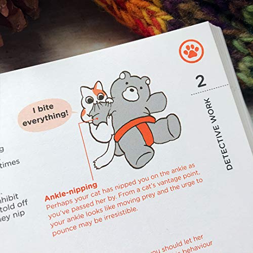 Yuki Hattori - What Cats Want : An Illustrated Guide for Truly Underst image 4