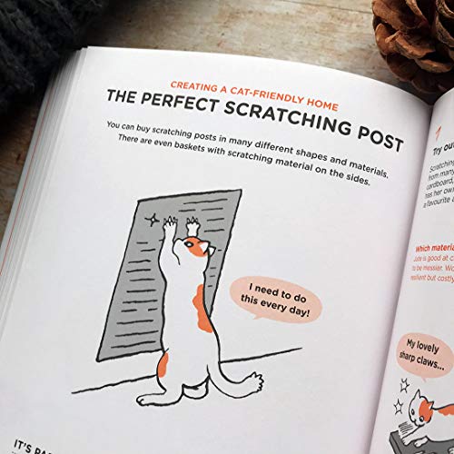 Yuki Hattori - What Cats Want : An Illustrated Guide for Truly Underst image 5
