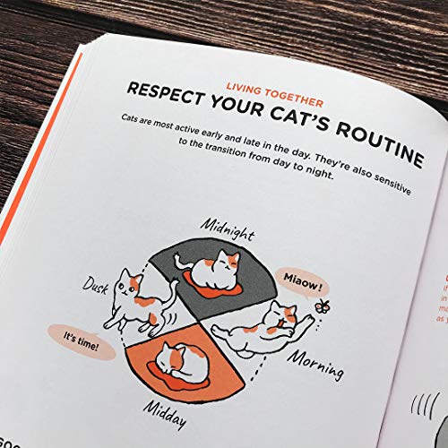 Yuki Hattori - What Cats Want : An Illustrated Guide for Truly Underst image 6