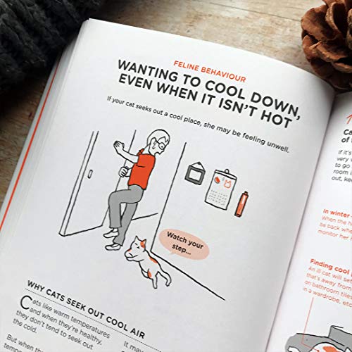 Yuki Hattori - What Cats Want : An Illustrated Guide for Truly Underst image 7