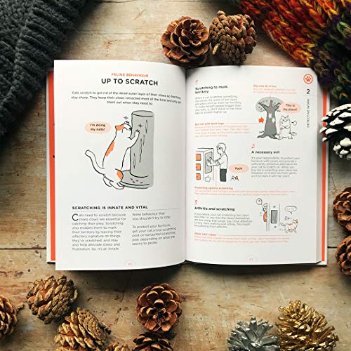 Yuki Hattori - What Cats Want : An Illustrated Guide for Truly Underst image 8