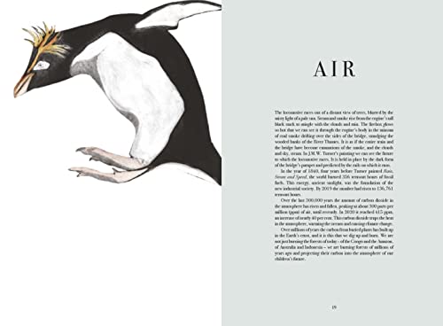 Beatrice Forshall - Book of Vanishing Species : Illustrated Lives - Ha image 4
