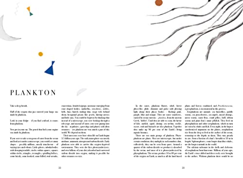 Beatrice Forshall - Book of Vanishing Species : Illustrated Lives - Ha image 5