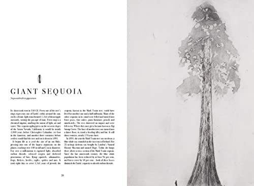 Beatrice Forshall - Book of Vanishing Species : Illustrated Lives - Ha image 7