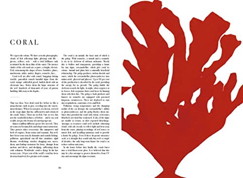 Beatrice Forshall - Book of Vanishing Species : Illustrated Lives - Ha image 9