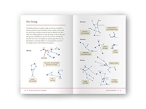 Lara Maiklem - A Field Guide to Larking - Paperback image 2