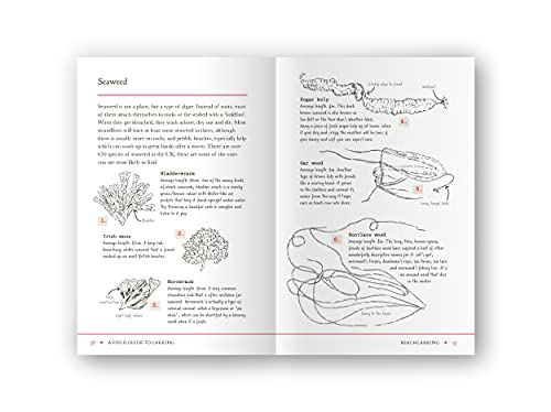 Lara Maiklem - A Field Guide to Larking - Paperback image 3