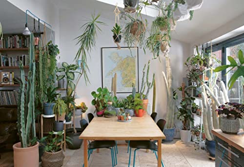 Sarah Gerrard-Jones - Plant Rescuer : The book your houseplants want y image 2