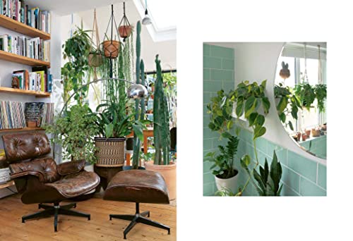 Sarah Gerrard-Jones - Plant Rescuer : The book your houseplants want y image 3