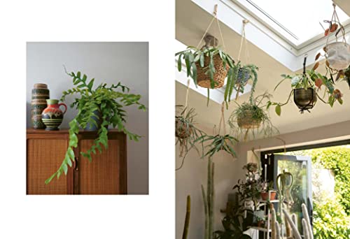 Sarah Gerrard-Jones - Plant Rescuer : The book your houseplants want y image 4