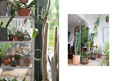 Sarah Gerrard-Jones - Plant Rescuer : The book your houseplants want y image 5