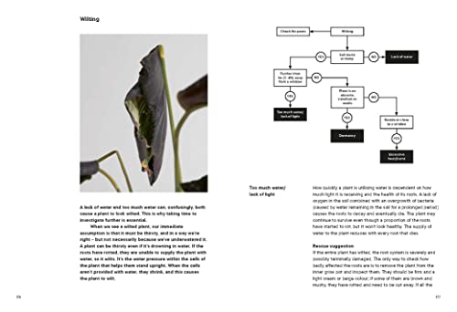Sarah Gerrard-Jones - Plant Rescuer : The book your houseplants want y image 6