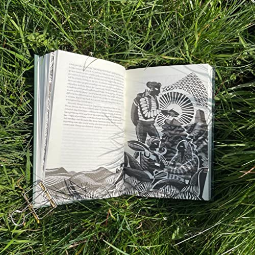 Nick Hayes - Trespasser's Companion - Hardback image 4