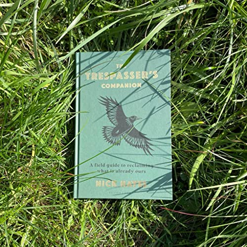 Nick Hayes - Trespasser's Companion - Hardback image 6