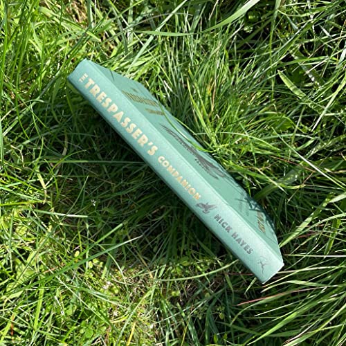 Nick Hayes - Trespasser's Companion - Hardback image 7