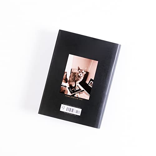 Ms Patti Smith - A Book of Days - Hardback image 7