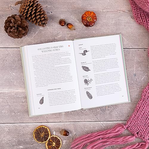 Rosie Steer - Slow Seasons : A Creative Guide to Reconnecting with Nat image 5