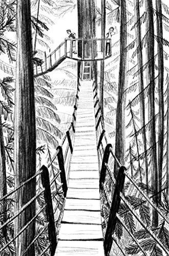 Sara Barnard - Destination Anywhere - Paperback image 4