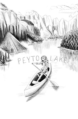 Sara Barnard - Destination Anywhere - Paperback image 6