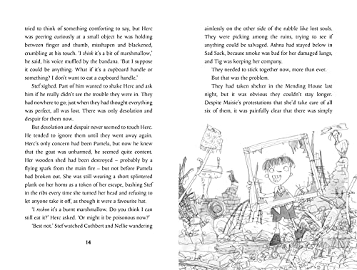 Sophie Wills - Orphans of St Halibut's: Pamela's Revenge - Pap image 2