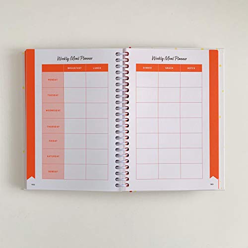 Laura Davis - Pinch of Nom Food Planner: Everyday Light - Hardback image 4
