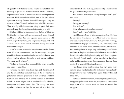 Hilary McKay - Swallows' Flight - Hardback image 3
