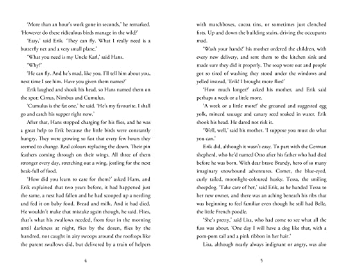 Hilary McKay - Swallows' Flight - Hardback image 4