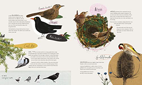 Dara McAnulty - Wild Child : A Journey Through Nature - Hardback image 3