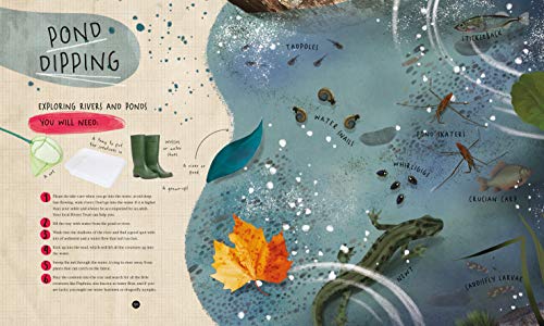 Dara McAnulty - Wild Child : A Journey Through Nature - Hardback image 6