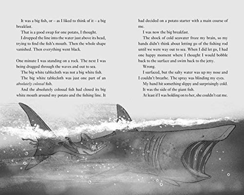 Frank Cottrell Boyce - Noah's Gold - Paperback image 6
