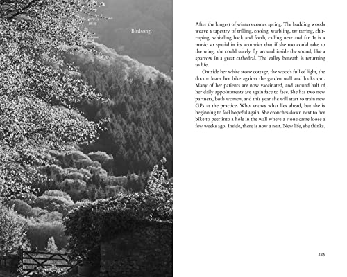 Polly Morland - A Fortunate Woman : A Country Doctor's Story - The image 6