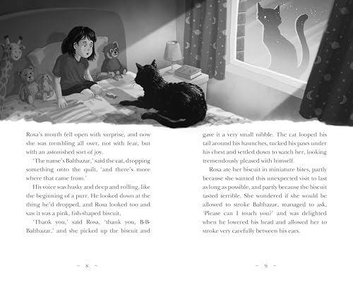 Hilary McKay - Rosa By Starlight - Hardback image 2
