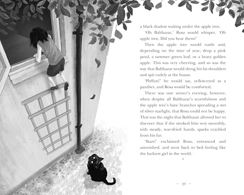 Hilary McKay - Rosa By Starlight - Hardback image 3