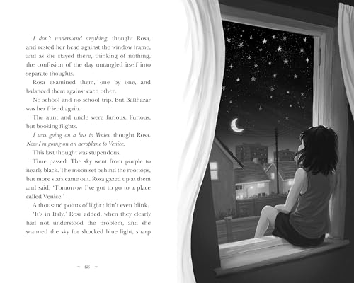 Hilary McKay - Rosa By Starlight - Hardback image 4