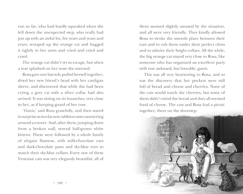 Hilary McKay - Rosa By Starlight - Hardback image 6