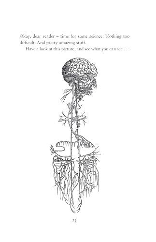 Steve Biddulph - Wild Creature Mind : The Neuroscience Breakthrough th image 4