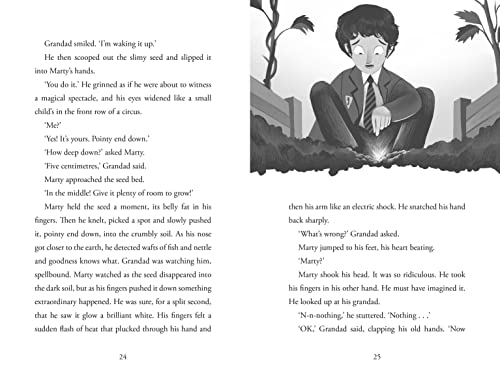 Caryl Lewis - Seed - Paperback image 2