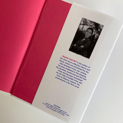 Niamh Mulvey - Amendments : A deeply moving, multi-generational story image 5