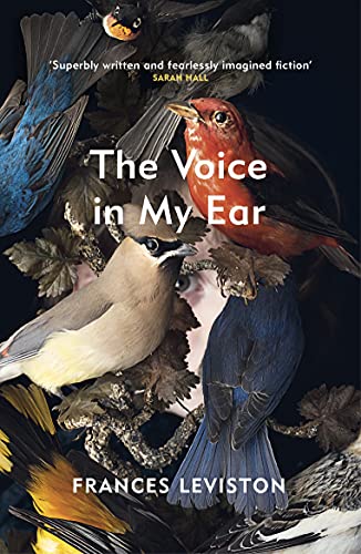 Frances Leviston - Voice in My Ear - Paperback image 1