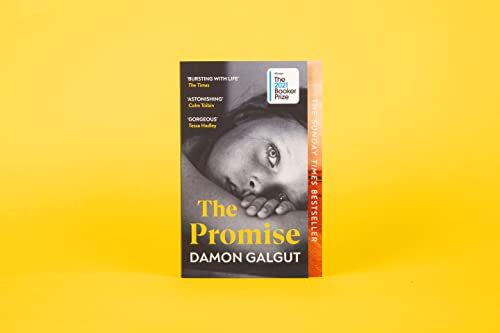Damon Galgut - Promise : WINNER OF THE BOOKER PRIZE 2021 - Paperback image 2