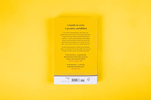 Damon Galgut - Promise : WINNER OF THE BOOKER PRIZE 2021 - Paperback image 3