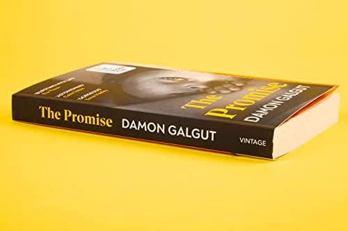 Damon Galgut - Promise : WINNER OF THE BOOKER PRIZE 2021 - Paperback image 4