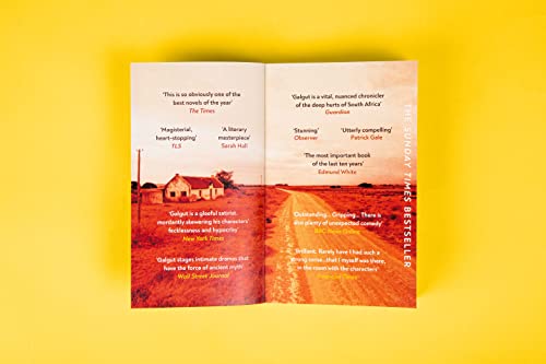 Damon Galgut - Promise : WINNER OF THE BOOKER PRIZE 2021 - Paperback image 5