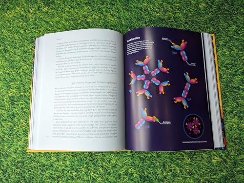 Philipp Dettmer - Immune : The bestselling book from Kurzgesagt - a go image 2