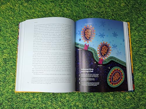 Philipp Dettmer - Immune : The bestselling book from Kurzgesagt - a go image 5