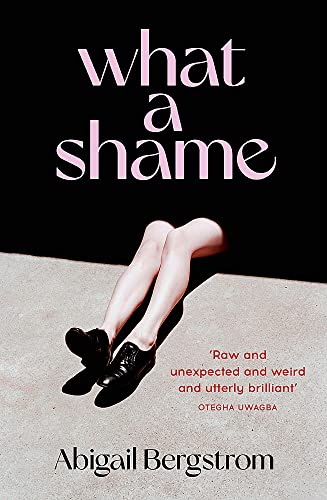 Abigail Bergstrom - What a Shame : 'Intelligent, moving and darkly image 1